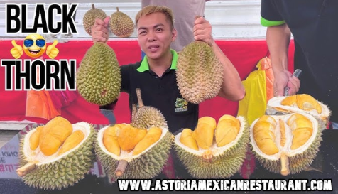 Menikmati Durian Black Thorn